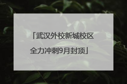 武汉外校新城校区全力冲刺9月封顶
