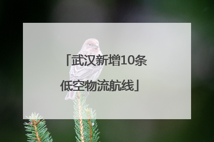 武汉新增10条低空物流航线