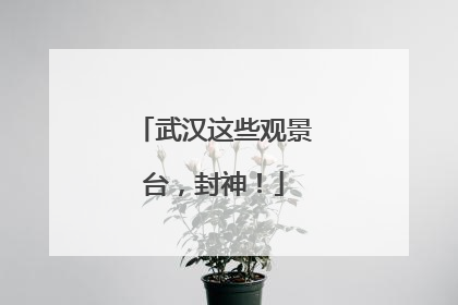 武汉这些观景台，封神！