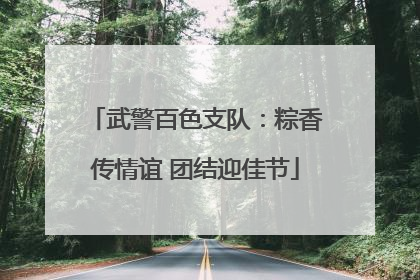 武警百色支队：粽香传情谊 团结迎佳节