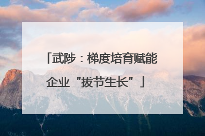 武陟：梯度培育赋能企业“拔节生长”