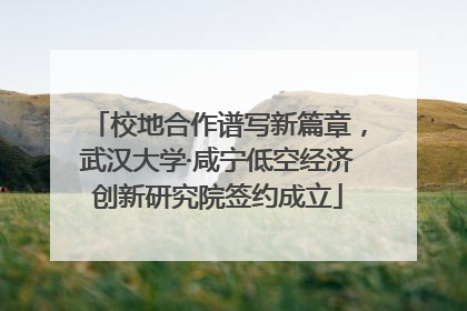 校地合作谱写新篇章，武汉大学·咸宁低空经济创新研究院签约成立
