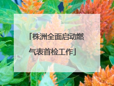 株洲全面启动燃气表首检工作