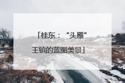 桂东：“头雁”王镇的蓝图美景