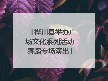 桦川县举办广场文化系列活动舞蹈专场演出