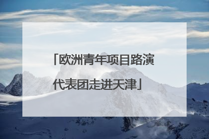 欧洲青年项目路演代表团走进天津