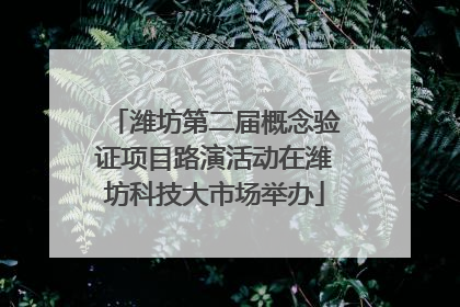 潍坊第二届概念验证项目路演活动在潍坊科技大市场举办