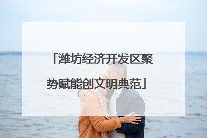 潍坊经济开发区聚势赋能创文明典范