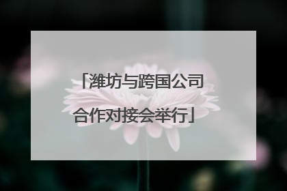 潍坊与跨国公司合作对接会举行