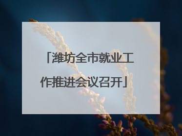 潍坊全市就业工作推进会议召开