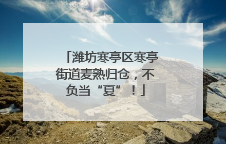 潍坊寒亭区寒亭街道麦熟归仓，不负当“夏”！