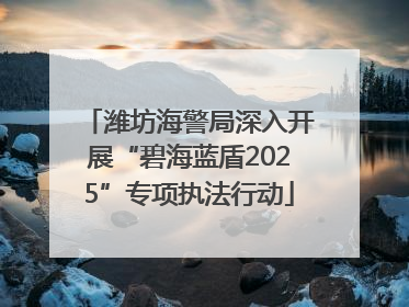 潍坊海警局深入开展“碧海蓝盾2025”专项执法行动