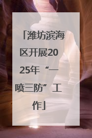 潍坊滨海区开展2025年“一喷三防”工作