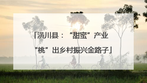 潢川县：“甜蜜”产业  “桃”出乡村振兴金路子