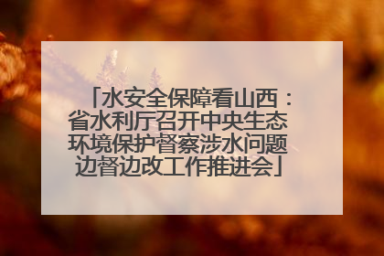 水安全保障看山西：省水利厅召开中央生态环境保护督察涉水问题边督边改工作推进会