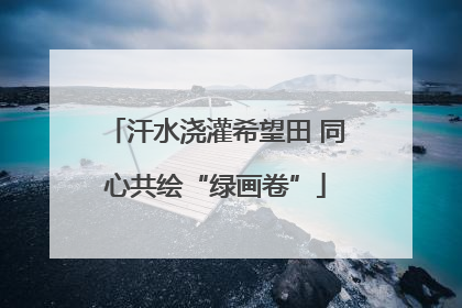 汗水浇灌希望田 同心共绘“绿画卷”