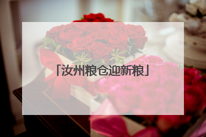 汝州粮仓迎新粮