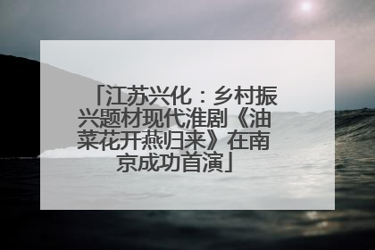 江苏兴化：乡村振兴题材现代淮剧《油菜花开燕归来》在南京成功首演