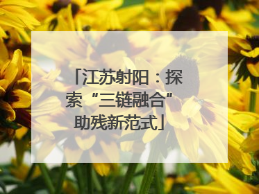 江苏射阳：探索“三链融合”助残新范式