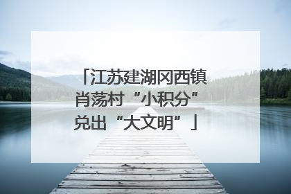 江苏建湖冈西镇肖荡村“小积分”兑出“大文明”