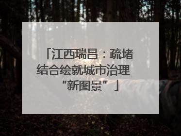 江西瑞昌：疏堵结合绘就城市治理“新图景”