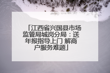 江西省兴国县市场监管局城岗分局：送年报指导上门 解商户服务难题