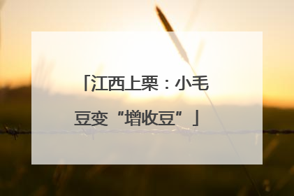 江西上栗：小毛豆变“增收豆”