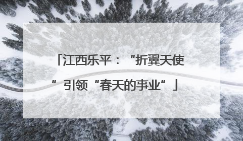 江西乐平：“折翼天使”引领“春天的事业”