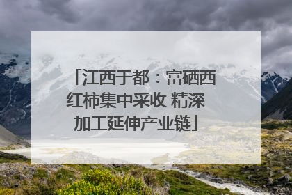 江西于都：富硒西红柿集中采收 精深加工延伸产业链