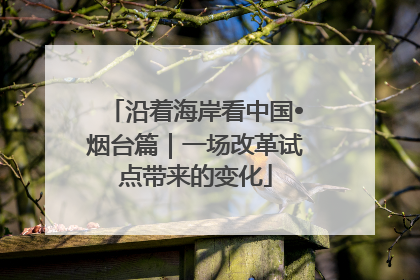 沿着海岸看中国•烟台篇｜一场改革试点带来的变化