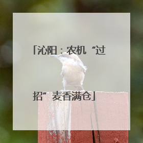 沁阳：农机“过招”麦香满仓