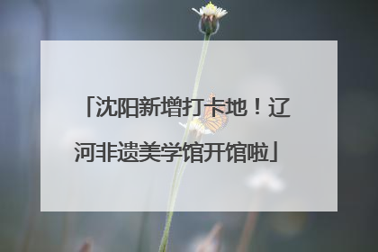 沈阳新增打卡地！辽河非遗美学馆开馆啦