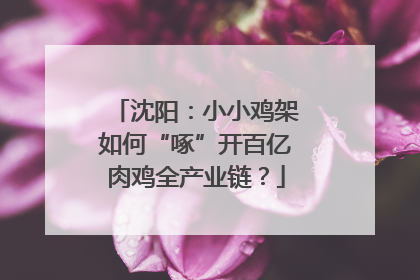 沈阳：小小鸡架如何“啄”开百亿肉鸡全产业链？