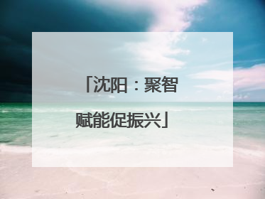 沈阳：聚智赋能促振兴