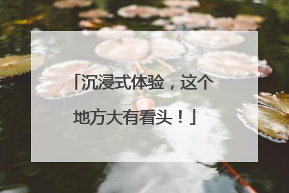 沉浸式体验，这个地方大有看头！