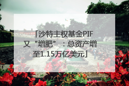 沙特主权基金PIF又“增肥”：总资产增至1.15万亿美元