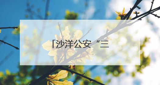沙洋公安“三堂课”织密交通安全防护网