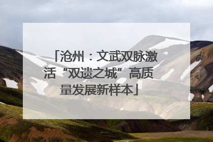 沧州：文武双脉激活“双遗之城”高质量发展新样本