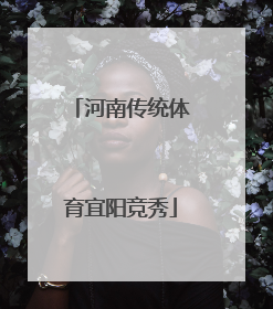 河南传统体育宜阳竞秀
