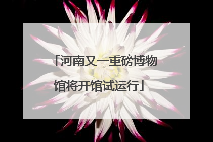 河南又一重磅博物馆将开馆试运行