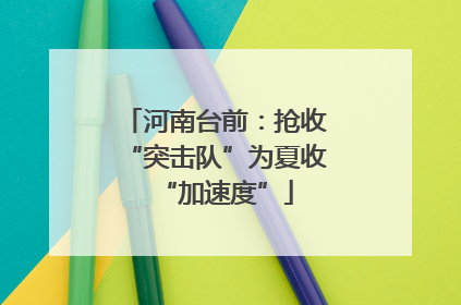 河南台前：抢收“突击队”为夏收“加速度”