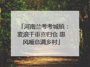河南兰考考城镇：麦浪千重喜归仓 惠风暖意满乡村