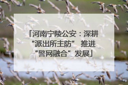 河南宁陵公安：深耕“派出所主防” 推进“警网融合”发展