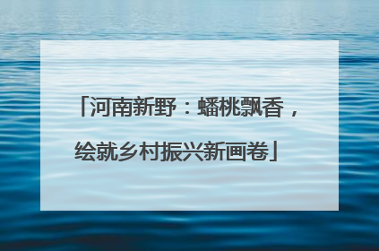 河南新野：蟠桃飘香，绘就乡村振兴新画卷