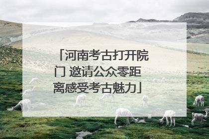 河南考古打开院门 邀请公众零距离感受考古魅力