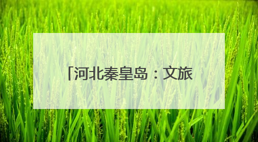 河北秦皇岛：文旅新业态激发新活力