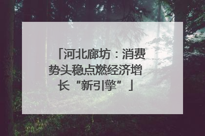 河北廊坊：消费势头稳点燃经济增长“新引擎”