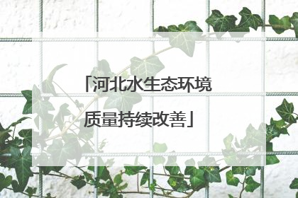 河北水生态环境质量持续改善
