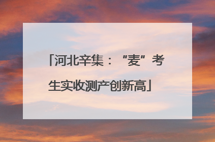 河北辛集：“麦”考生实收测产创新高