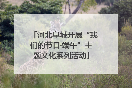 河北阜城开展“我们的节日·端午”主题文化系列活动